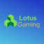 Icono del servidor Lotus Network