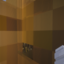 Icono del servidor Froggos SMP