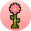 Icono del servidor MineBloom