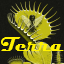 Icono del servidor Terra Incognita