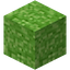 Icono del servidor Everstone