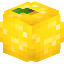 Icono del servidor LEMON³