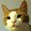 Icono del servidor CatsCraft