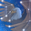 Icono del servidor AquilaPvP