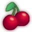 Icono del servidor MineBerry
