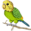 Icono del servidor Budgie Network