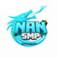 Icono del servidor NanSMP