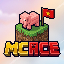 Icono del servidor MCACE