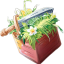 Icono del servidor Survival Fun