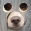 Icono del servidor TakoLOL
