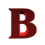 Icono del servidor BrevthCraft