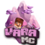 Icono del servidor VaraMc Network