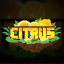 Icono del servidor Citrus