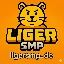 Icono del servidor LigerSMP