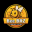 Icono del servidor BeebazMC