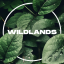 Icono del servidor WildLands SMP