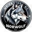Icono del servidor NorWolf - MC