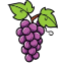 Icono del servidor Grape Survival