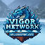 Icono del servidor Vigor Network