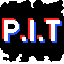Icono del servidor P.I.T True Anarchy/Survival