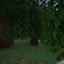 Icono del servidor peenoisemc.xyz