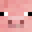 Icono del servidor Duck SMP