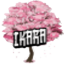 Icono del servidor Ikara