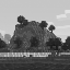 Icono del servidor MYCRAFT