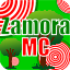 Icono del servidor ZamoraMC Network