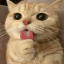 Icono del servidor Steaky SMP