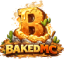Icono del servidor BakedMC