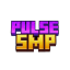 Icono del servidor PulseSmp