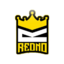 Icono del servidor Redno Gaming
